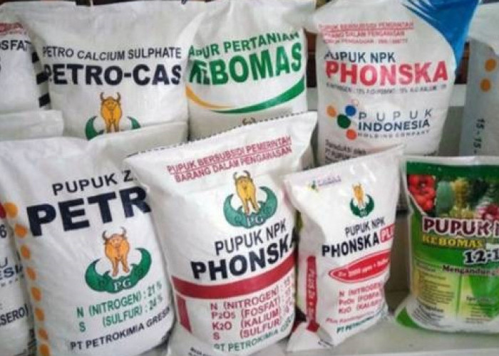 Bantuan Pupuk dan Pestisida Senilai Rp5,5 Miliar Disiapkan untuk Empat Kelompok Tani di Bengkulu Tengah