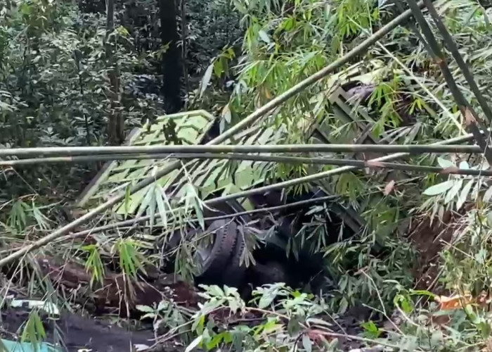 Terlibat Kecelakaan, 2 Truk Masuk Jurang Sedalam 30 Meter di Liku Sembilan Bengkulu Tengah