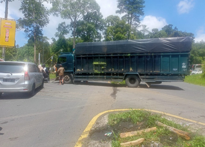 Gear Box Patah, Truk Angkut Cangkang Sawit Melintang di Jalan Liku Sembilan Ganggu Lalin