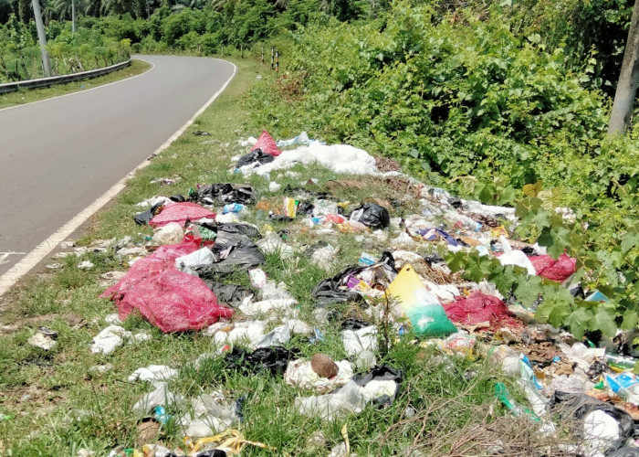 Saban Hari Dilintasi Pejabat dan Dewan, Tepi Jalan di Bengkulu Tengah Ini Jadi Tempat Pembuangan Sampah