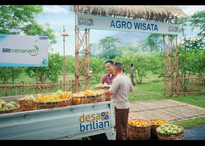 Lewat Program Desa BRILiaN, BRI Dorong Terwujudnya Desa Wisata sebagai Destinasi Unggulan Daerah