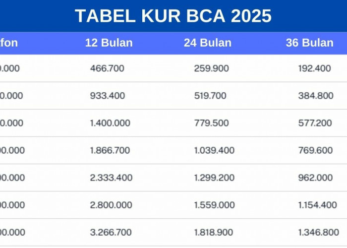 KUR BCA 2025: Pinjaman Rp10 Juta hingga Rp100 Juta untuk UMKM