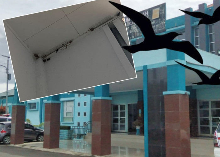 Dipenuhi Sarang Burung Sriti, Kehigienisan RSD Sungai Lemau Kebanggaan Bengkulu Tengah Diragukan