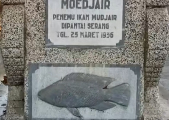 Sosok Pria Asal Blitar Ini Tak Setenar Ikan yang Ditemukannya, Yuk Simak Kisah Mbah Moedjair