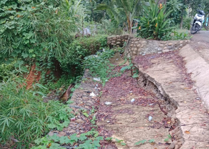 Pelapis Bahu Jalan Penghubung Desa Sidodadi - Sidorejo Diduga Asal Jadi, LSM Projamin Bakal Cek Lokasi