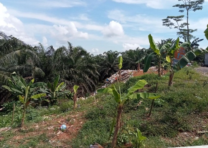 Lahan di Desa Ini Jadi Tempat Pembuangan Sampah Warga Kota
