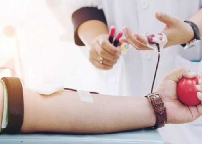 Manfaat Donor Darah untuk Tubuh Jika Rutin Dilakukan