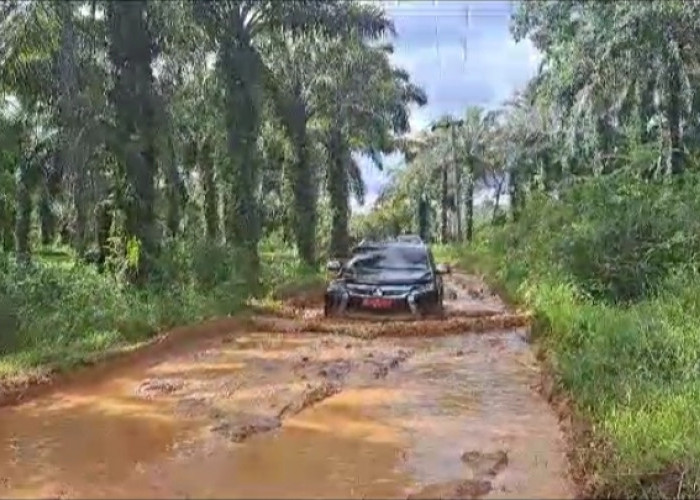 Begini Ekstremnya Jalan Tanjung Raman yang Ditinjau Sekda Bengkulu Tengah