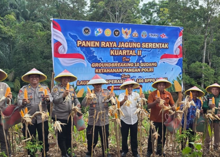 Kapolres Benteng Pimpin Panen Raya Jagung Kuartal II di Karang Tengah, Hasil Panen Dinilai Memuaskan