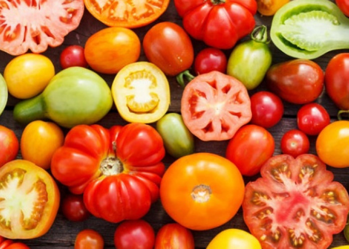 Tak Hanya Sebagai Sayuran, Tomat juga Memberikan Manfaat untuk Kesehatan Otak, Emang Bisa?