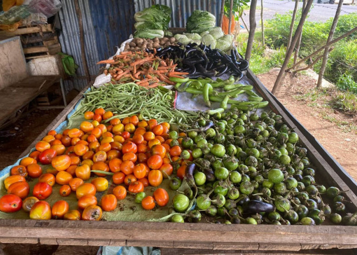 Update Harga Sembako Bengkulu Tengah: Ayam Merangkak Naik, Bahan Pokok Lain Relatif Aman
