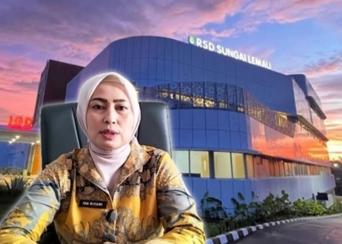 Ida Riyani Siap Jadikan Kritik Bahan Evaluasi, Simak Juga Sederet Peningkatan Layanan di RSD Sungai Lemau
