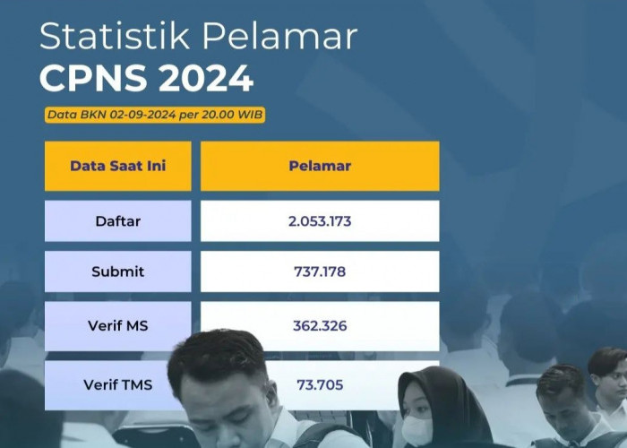 BKN Rilis Update Terbaru Statistik Pelamar CPNS 2024: Pelamar Tembus 2.053.173, TMS 73.705