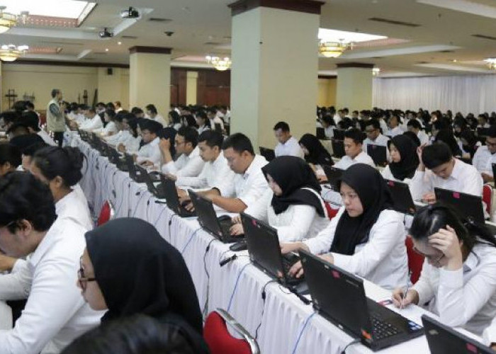 Pengumuman Kelulusan PPPK Tahap 2 Resmi Dirilis, Ini Arti Kode dan Cara Ceknya