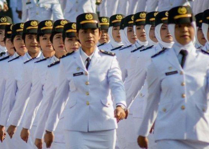 Panduan Mudah Membuat Akun SSCASN untuk Daftar Sekolah Kedinasan 2025