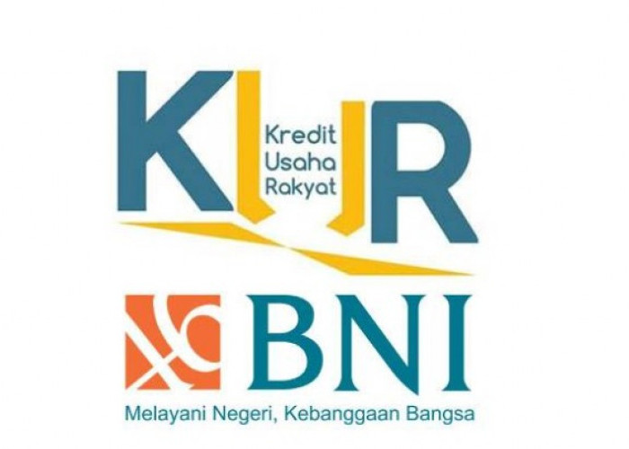 Mudah dan Cepat! Ini Panduan Lengkap Pengajuan KUR BNI 2025 Secara Online dan Offline