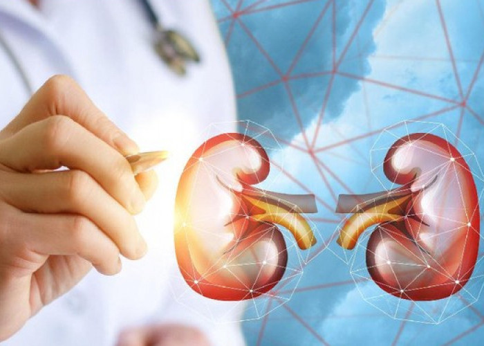 Kenali 7 Masalah Kesehatan Ini, Bisa Jadi Pertanda Fungsi Organ Ginjal Terganggu