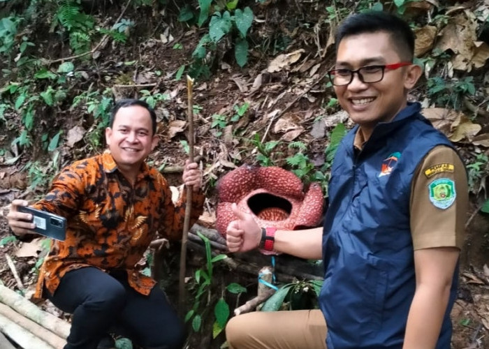 Kasatgas KPK Adhi Setyo Masuk Hutan Liku Sembilan Bengkulu Lalui Jalan Setapak, Ternyata karena Ini 