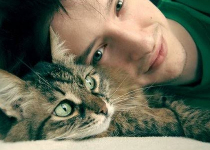 Mitos atau Fakta, Pria yang Memelihara Kucing Lebih Mudah Memikat Hati Wanita