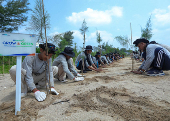 Peringati Hari Lingkungan Hidup Sedunia, BRI Pertegas Komitmen dalam Menjaga Ekosistem Lingkungan