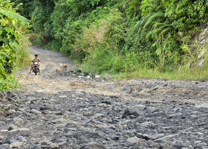 Kades Kota Niur Usulkan Pinjam Alat Berat, Warga Dukung Perbaikan Akses Jalan