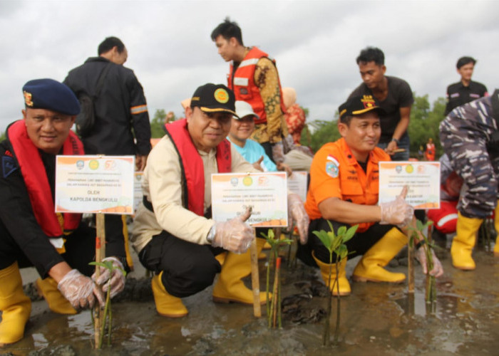 Galakkan Reboisasi Mangrove Kawasan Pesisir Pantai