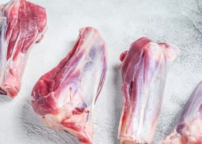 Mitos Daging Kambing Jadi Sumber Masalah Kesehatan, Ustadz Khalid Basalamah: