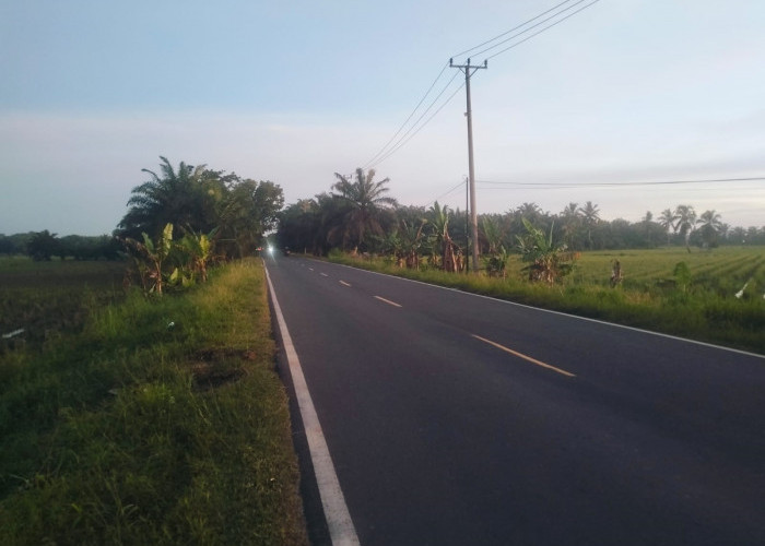 Jalan Lintas Sri Kuncoro–Kota Bengkulu Rawan Kecelakaan dan Kriminalitas, Warga Dihimbau Tetap Waspada