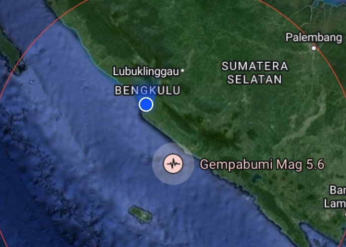 Cek Daftar Wilayah yang Rasakan Gempa Bumi Magnitudo 5,6 Berpusat di Bengkulu Selatan