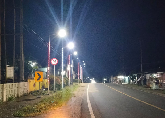 Pengadaan Lampu Berbinar di Dinas Dikbud Bengkulu Tengah Bernilai Miliaran Dilirik APH