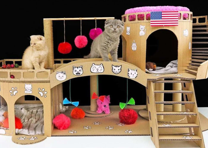 Yuk Buat Si Anabul Senang dengan Rumah Mainan Kucing Sederhana dari Kardus, Berikut Cara Pembuatannya