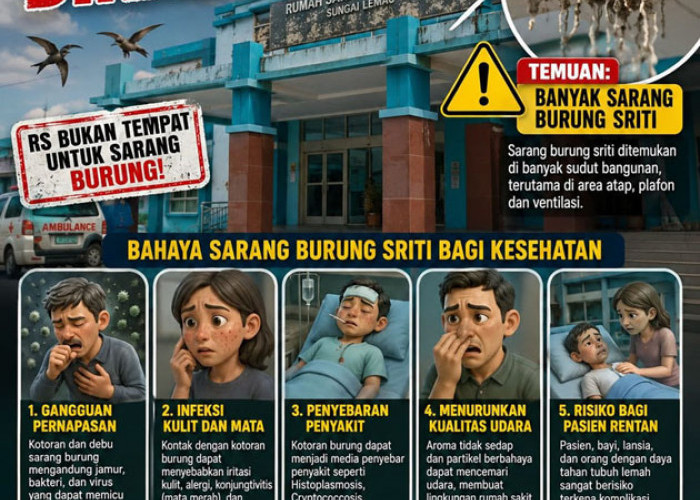 RSD Sungai Lemau Dipenuhi Sarang Burung, Aktivis LSM Minta Bupati Evaluasi Direktur