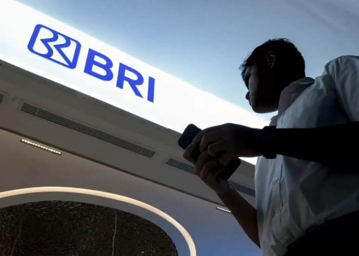 Loker BUMN Terbaru: Bank BRI Buka Lowong Posisi Relationship Manager Konsumer Briguna