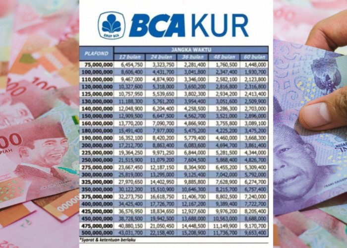 Simak Cicilan KUR BCA 2025 untuk Pinjaman Rp100 Juta, Syarat dan Cara Ajukannya Gampang Banget