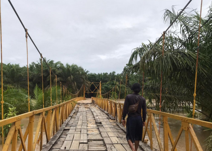 Prihatin, Banjir Setinggi Atap Rumah Warga, Jembatan di Desa Ini Nyaris Ambruk