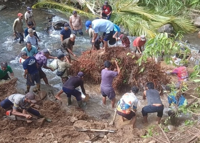 Tertimbun Longsor Saat Mencari Umbut, Pria 60 Tahun di Bengkulu Tengah Ditemukan Meninggal Dunia