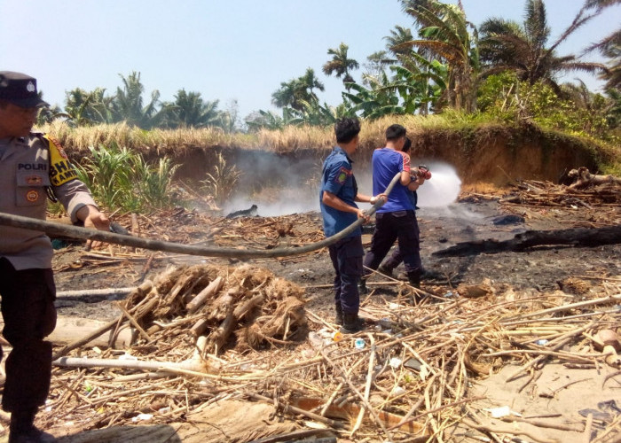 Karhutla Kembali Terjadi di Bengkulu Tengah, Kali Ini Lokasinya di Kecamatan Pondok Kelapa