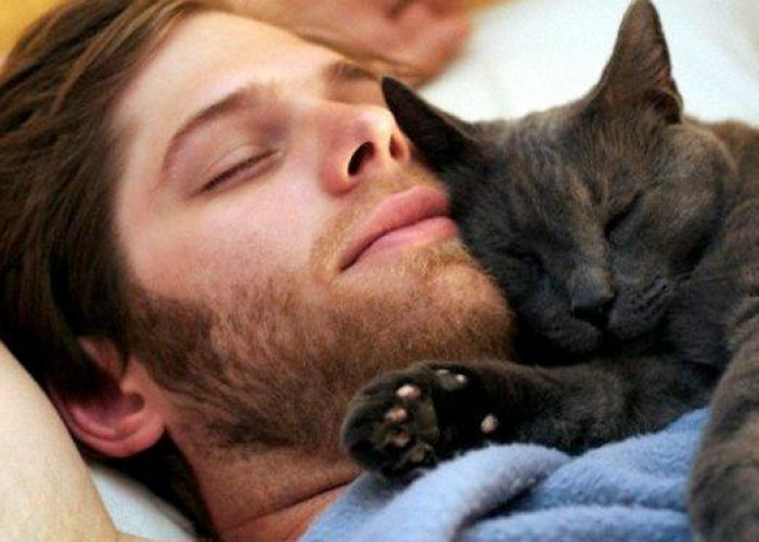 Cat Lovers Suka Tidur dengan Kucing? Ternyata Begini Perspektifnya Menurut Islam dan Secara Ilmiah