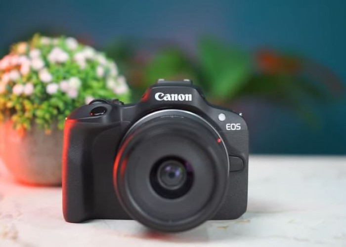 Cari Kamera untuk Fotografi Harian? Ini Review Lengkap tentang Kamera Canon EOS R100 Mirrorless Camera