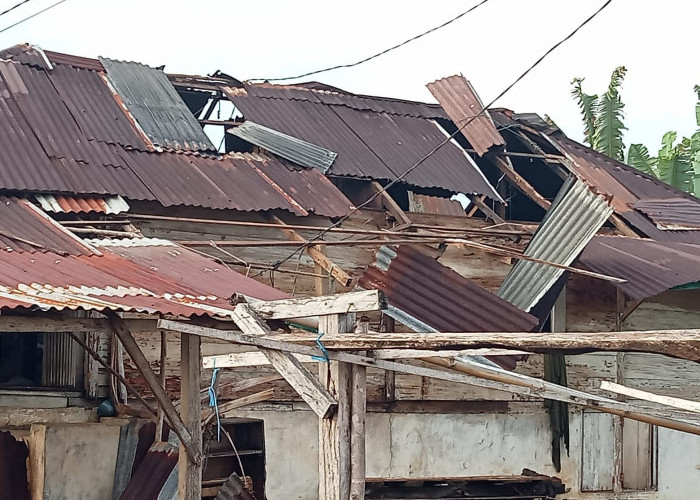 Ini Kondisi Dua Rumah di Kecamatan Semidang Lagan Pasca Dilanda Badai