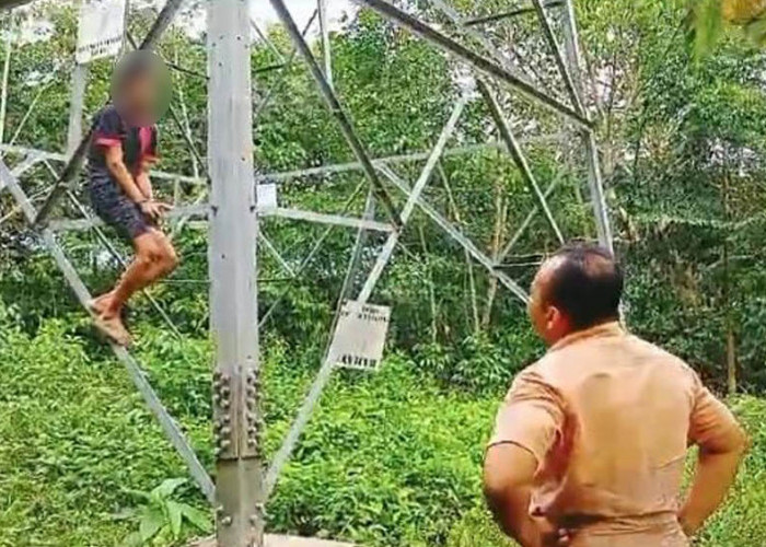 Diduga Maling Besi Tower Milik PT. PLN, 2 Pria di Bengkulu Tengah Diamankan Polsek Taba Penanjung
