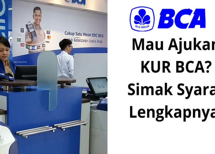 Hanya Butuh 10 Menit, Pinjam KUR Puluhan Juta Rupiah Angsuran Rp 500 Ribuan per Bulan Bisa Didapatkan di Sini