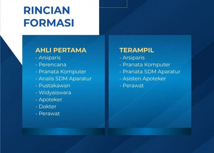 Gaji Maksimal Rp8,4 Juta, Arsip Nasional Republik Indonesia Buka Seleksi PPPK 2023, Berikut Daftar Gajinya