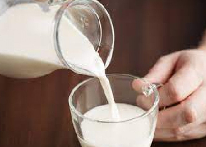 Mitos atau Fakta? Kandungan Susu dan Kemampuannya Menetralkan Alkohol, Begini Penjelasan Ilmiahnya