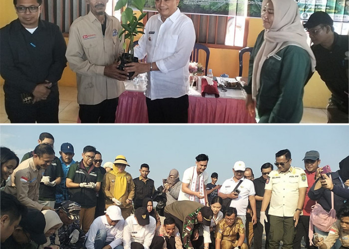 Peringati Hari Mangrove Sedunia 2026, Pemkab Bengkulu Tengah Tanam 1.000 Bibit dan Lepas 100 Tukik