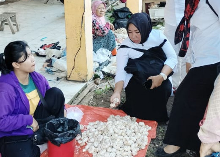 Pemkab Bengkulu Tengah Serius Tanggapi Kenaikan Sembako, Assisten II: Pj Bupati Sudah Pernah Turun ke Pasar