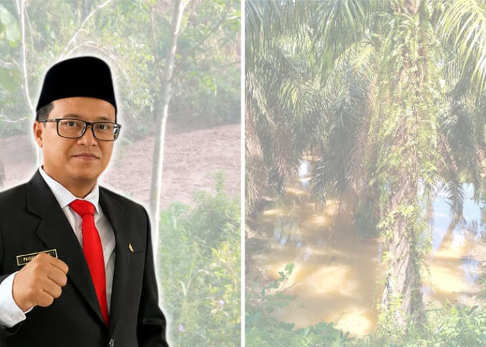 Lahan Pertanian dan Sumber Air Diduga Terdampak, DLH Telusuri Perusahaan di Linggar Galing