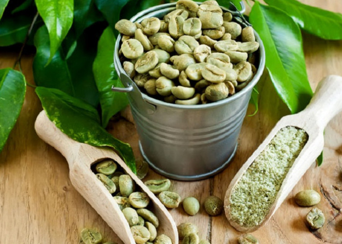 Green Coffee Bisa Membantu Menurunkan Berat Badan? Ini Penjelasannya