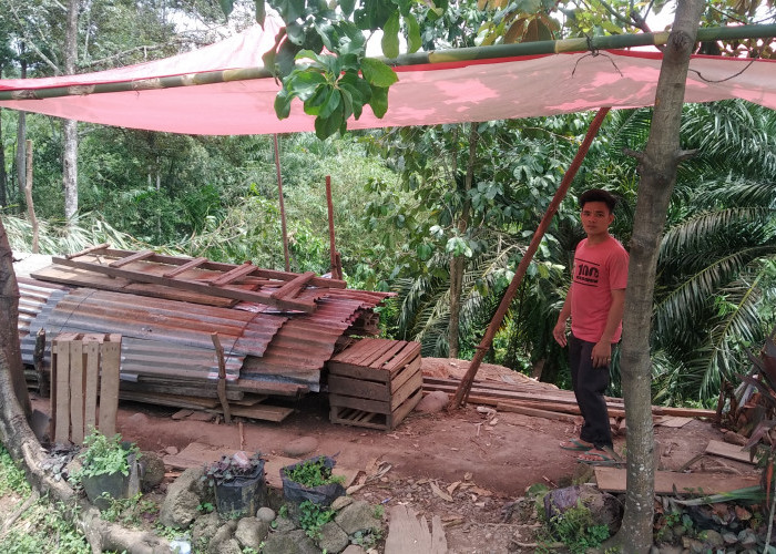 Korban Puting Beliung Tunggu Kepedulian Pemkab dan DPRD Bengkulu Tengah