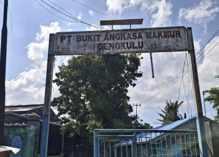 Tak Lagi Terima Gaji, Satpam Pabrik Karet Tetap Bertugas, Ini Alasannya